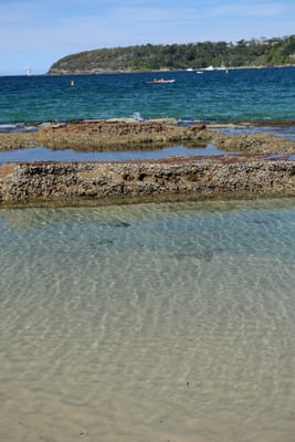 DSC_0732.JPG