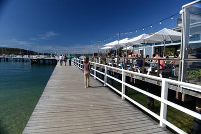 DSC_0736.JPG