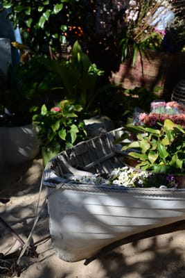 DSC_0740.JPG