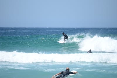 DSC_3376.JPG