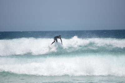 DSC_3377.JPG
