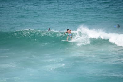 DSC_3383.JPG