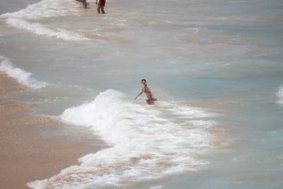 DSC_3385.JPG