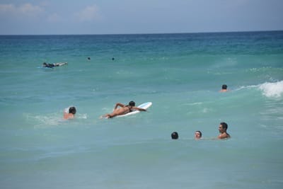 DSC_4200.JPG