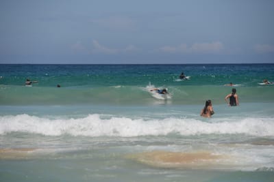 DSC_4213.JPG