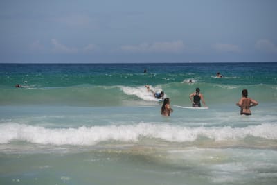 DSC_4214.JPG