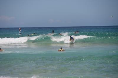 DSC_4218.JPG