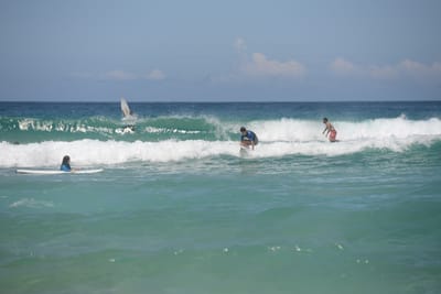 DSC_4220.JPG