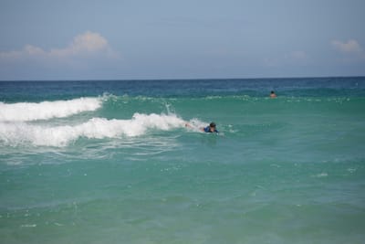 DSC_4221.JPG