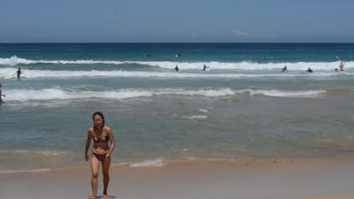 DSC_4228.MOV