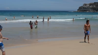 DSC_4229.MOV