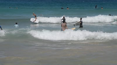 DSC_4231.MOV
