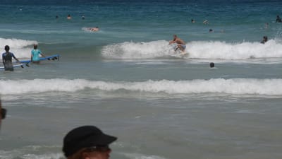 DSC_4232.MOV