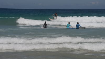 DSC_4233.MOV