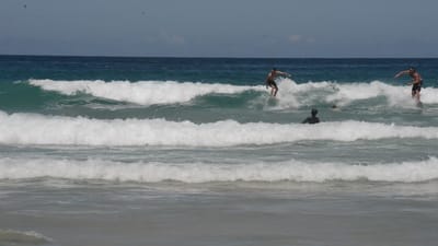 DSC_4234.MOV