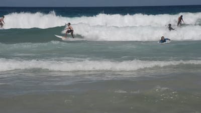 DSC_4235.MOV