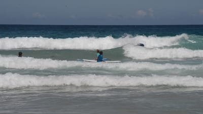 DSC_4237.MOV