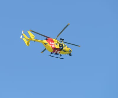 DSC_4247.JPG