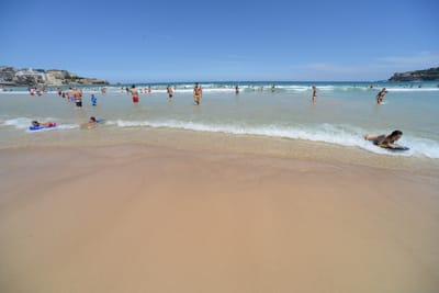 DSC_4258.JPG