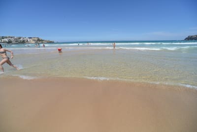 DSC_4262.JPG