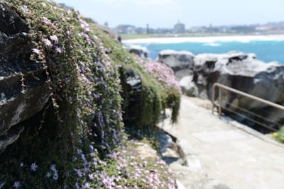 DSC_4664.JPG