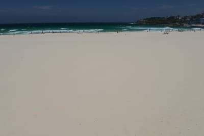 DSC_4674.JPG