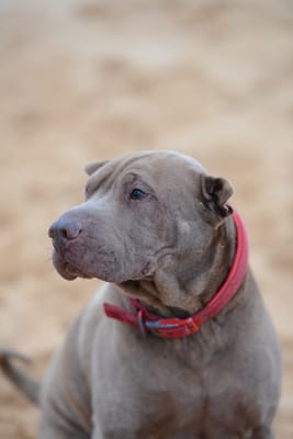 DSC_7402.JPG