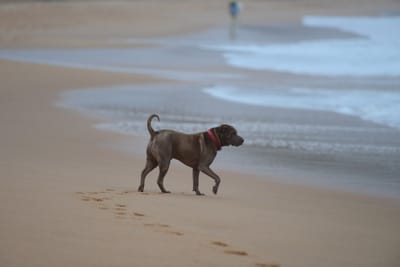 DSC_7404.JPG