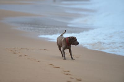 DSC_7405.JPG