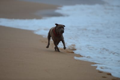 DSC_7406.JPG