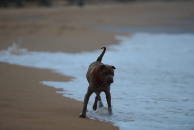 DSC_7407.JPG