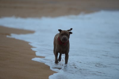 DSC_7408.JPG