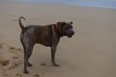 DSC_7410.JPG
