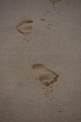 DSC_7411.JPG