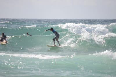 DSC_3392.JPG