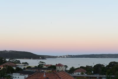 DSC_4213.JPG