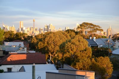DSC_1654.JPG