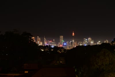 DSC_1667.JPG