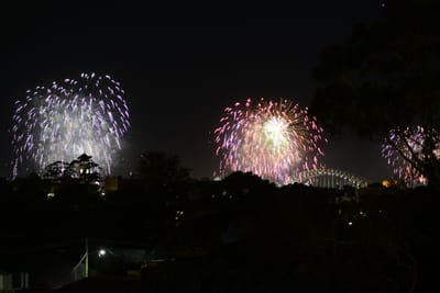 DSC_1674.JPG