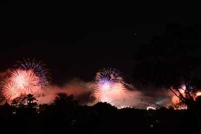 DSC_1681.JPG