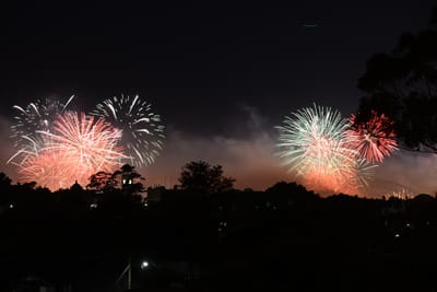 DSC_1701.JPG