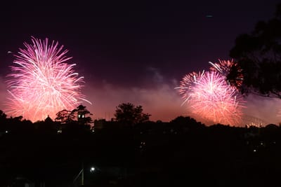 DSC_1702.JPG