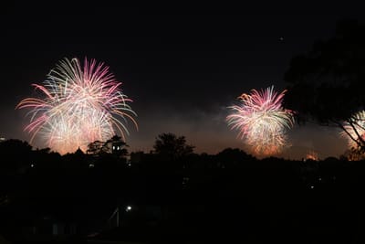 DSC_1706.JPG
