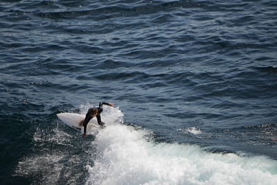 e DSC_3601.jpg