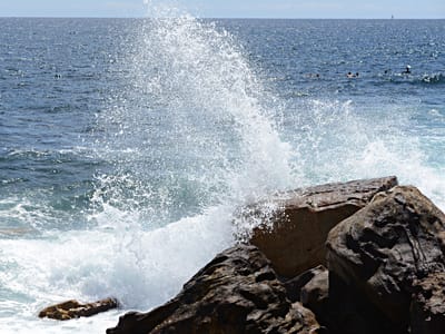 e DSC_3605.jpg