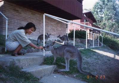 img038.jpg