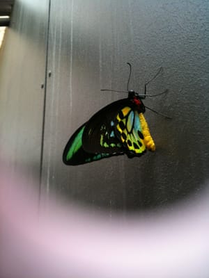 IMG_0073.JPG