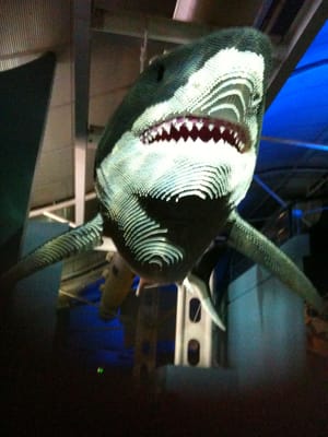 IMG_0078.JPG