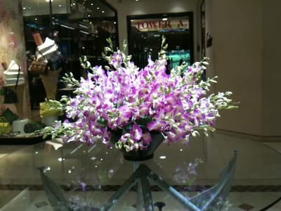 IMG_0179.MOV