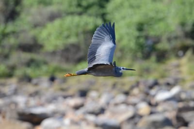 DSC_1722.JPG